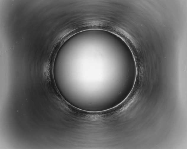 X0000094060778200710191101