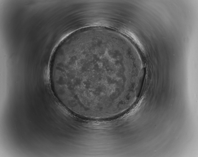 X0000094060780200710191101