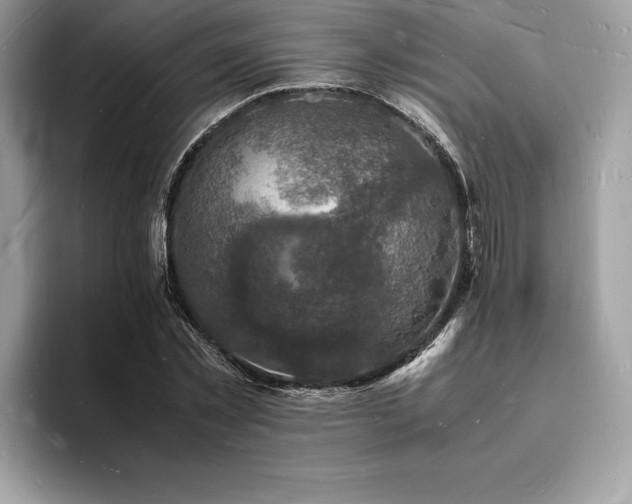 X0000094060781200710191100