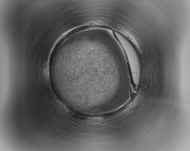X0000094060784200710191100