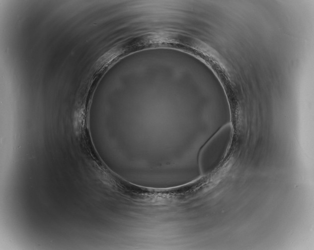 X0000094060785200710191100