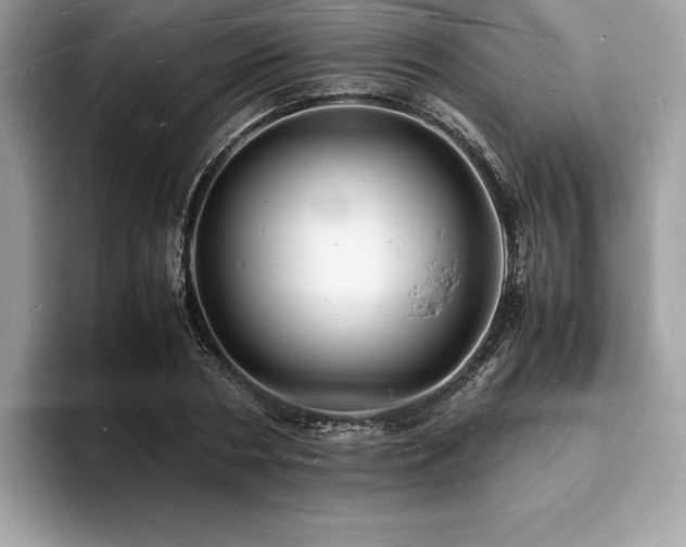 X0000094060786200710191100
