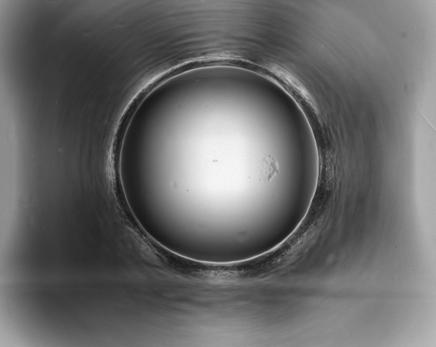X0000094060789200710191100