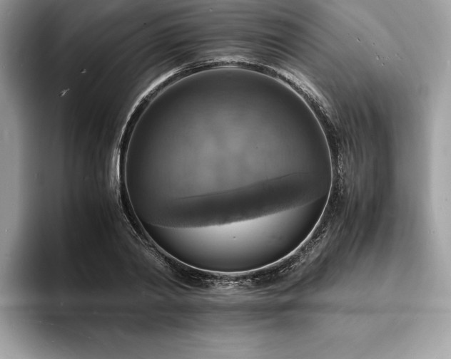 X0000094060790200710191100
