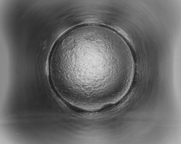 X0000094060791200710191100
