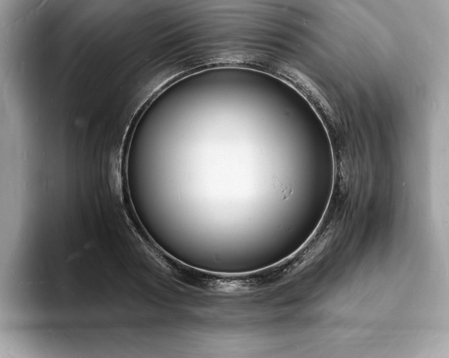 X0000094060794200710191100
