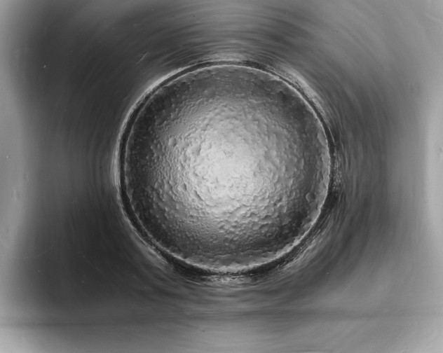 X0000094060795200710191100