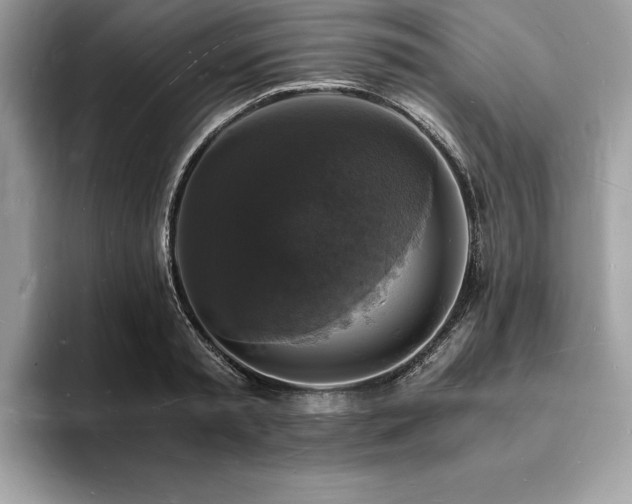 X0000094060797200710191100