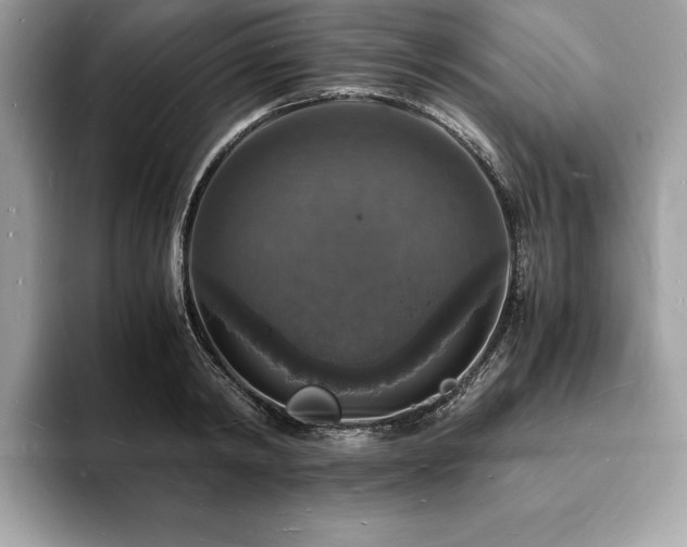X0000094060798200710191100
