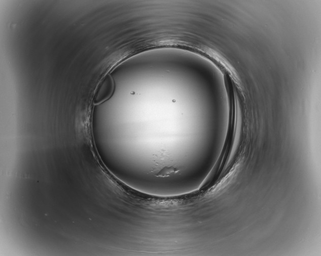 X0000094060801200710191100