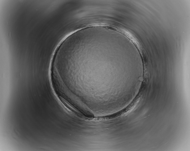 X0000094060803200710191100