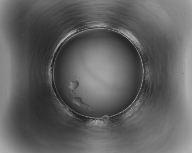 X0000094060806200710191100