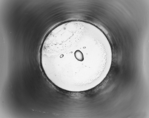 X0000094060807200710191100