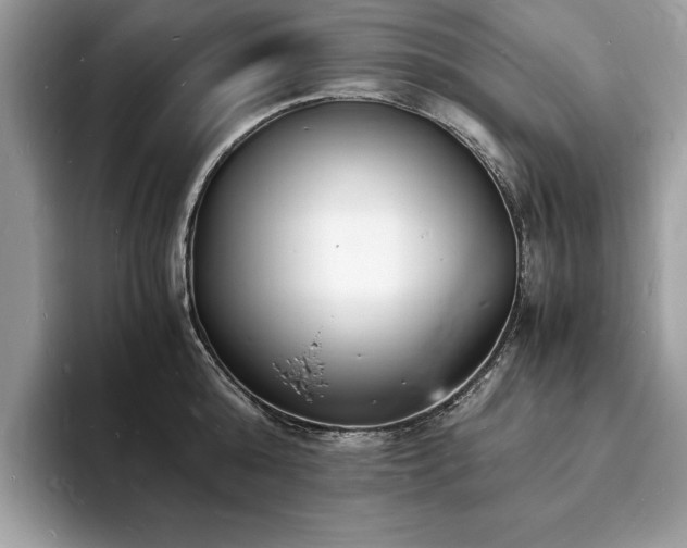X0000094060808200710191100