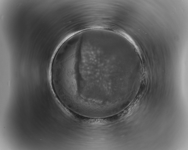 X0000094060811200710191100