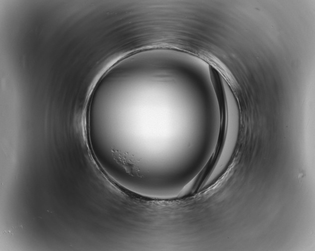 X0000094060812200710191100