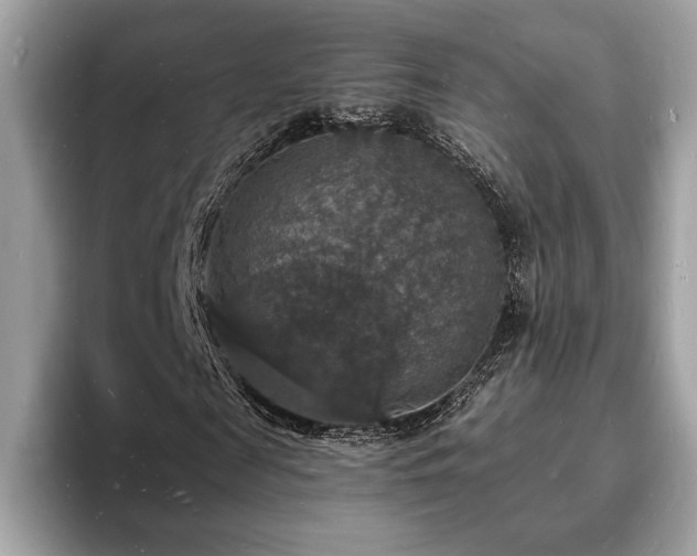 X0000094060817200710191059