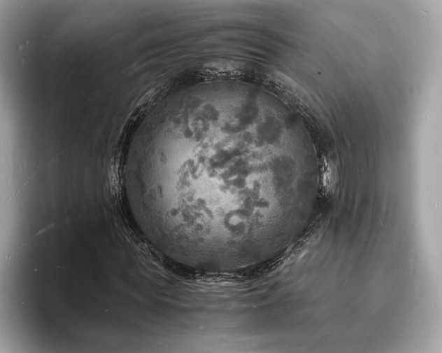 X0000094060819200710191059