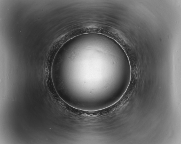 X0000094060821200710191059