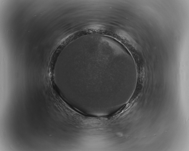 X0000094060822200710191059