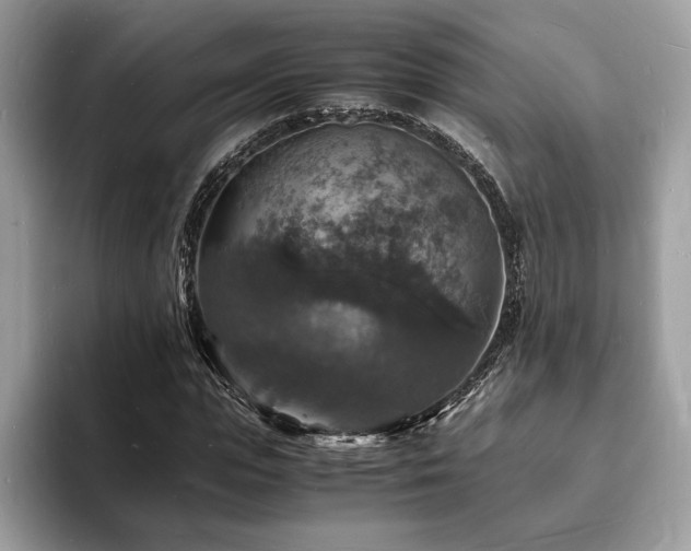 X0000094060823200710191059