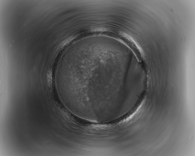 X0000094060825200710191059