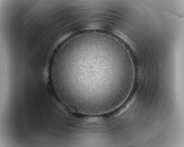 X0000094060826200710191059