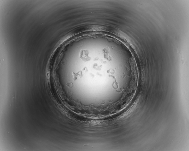 X0000094060827200710191059