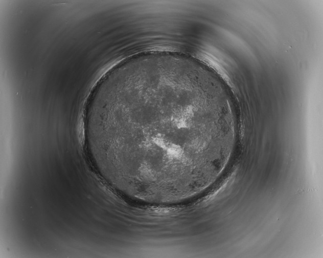 X0000094060829200710191059
