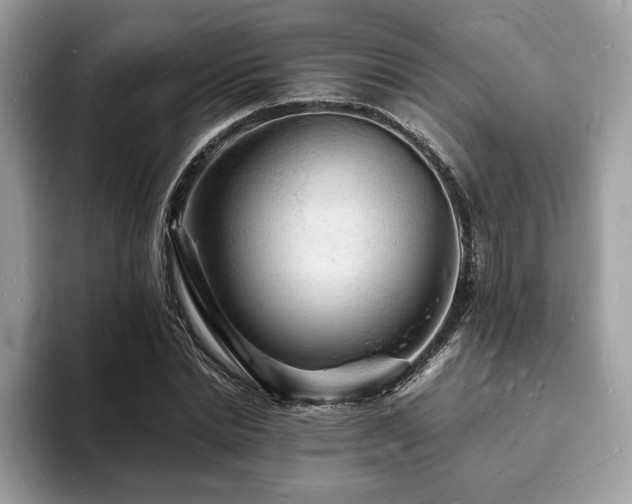 X0000094060830200710191059