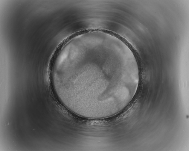 X0000094060832200710191100