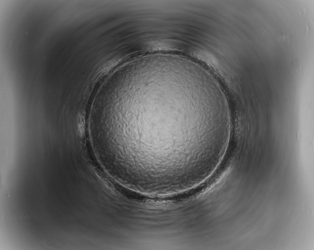 X0000094060833200710191100