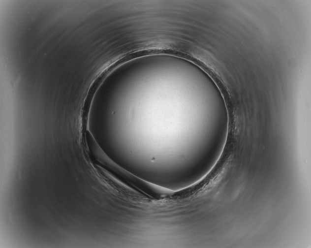 X0000094060834200710191100