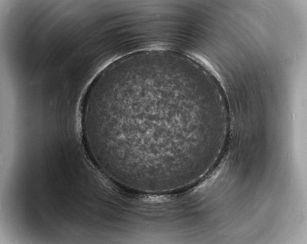 X0000094060835200710191100