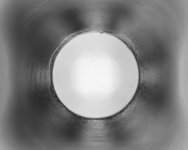 X0000094060836200710191100