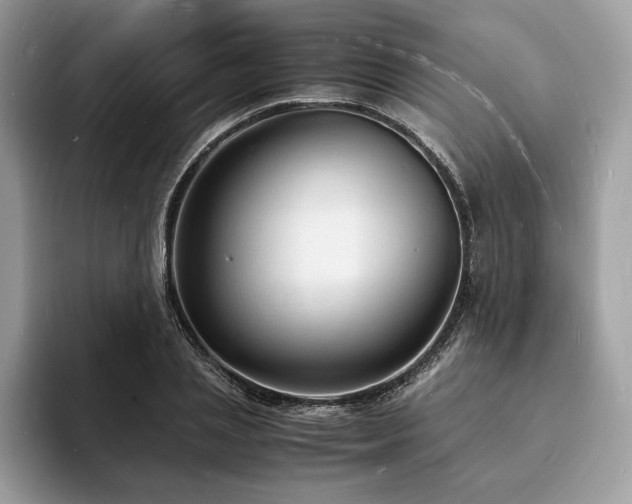 X0000094060837200710191100