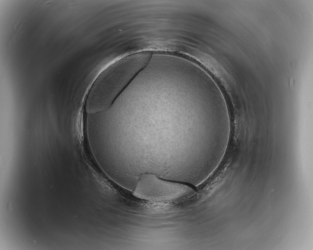 X0000094060838200710191100
