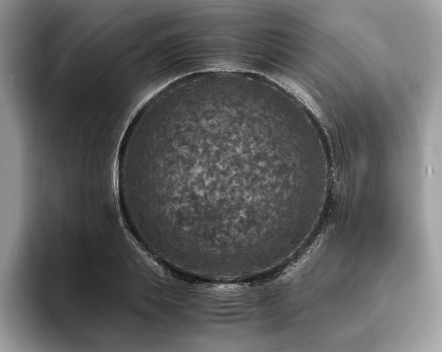 X0000094060839200710191100