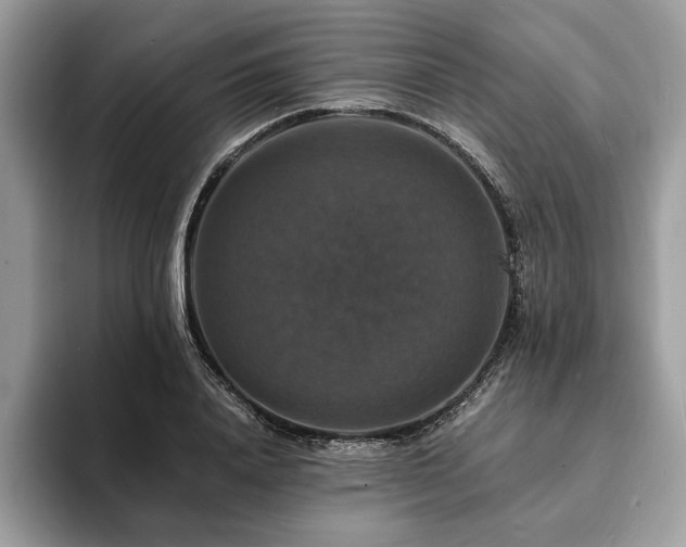 X0000094060840200710191100