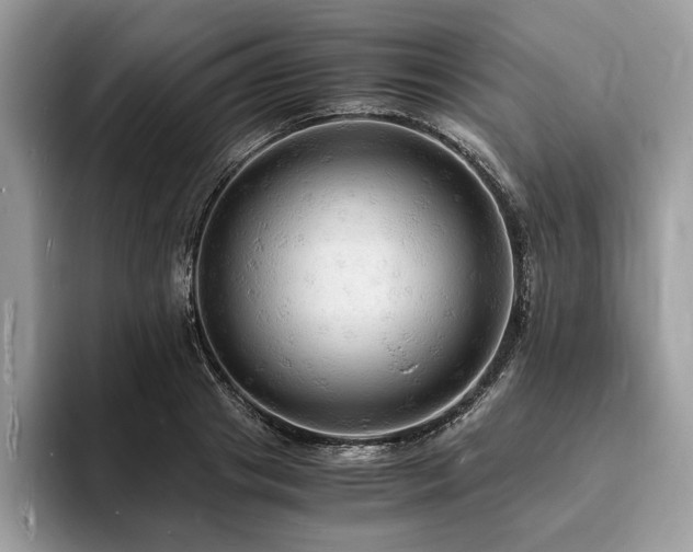 X0000094060841200710191100