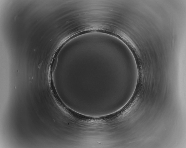 X0000094060842200710191100