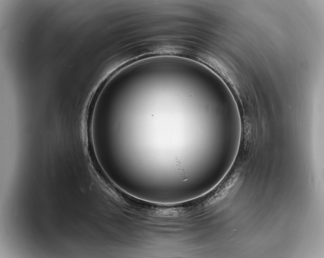 X0000094060843200710191100