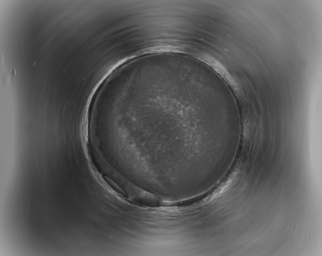 X0000094060844200710191100