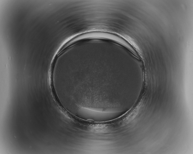 X0000094060846200710191100