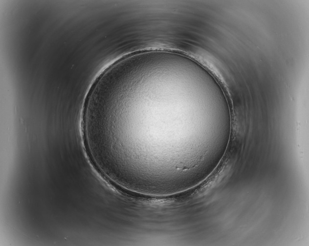 X0000094060847200710191100