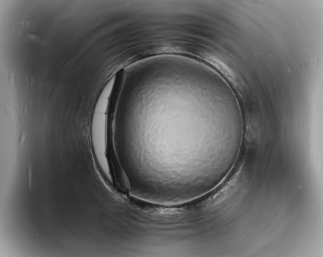 X0000094060849200710191100