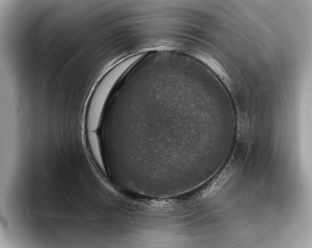 X0000094060850200710191100