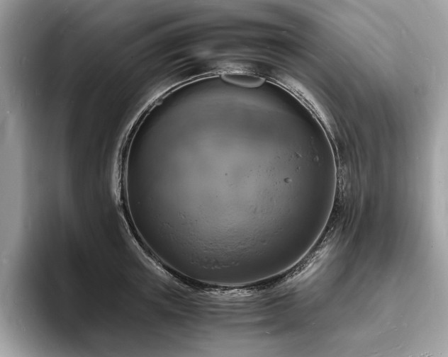 X0000094060851200710191100