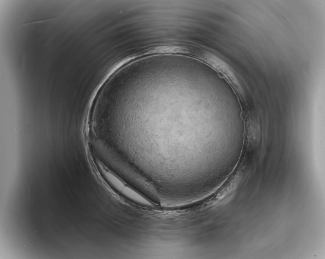 X0000094060852200710191100