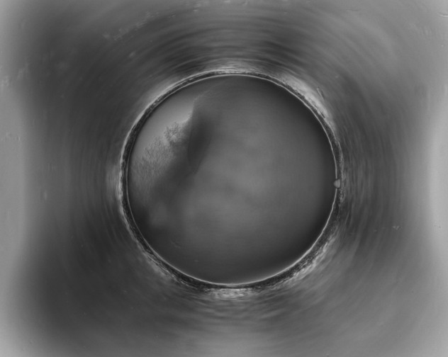 X0000094060853200710191100